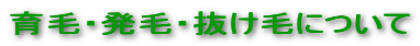 育毛・発毛・抜け毛について