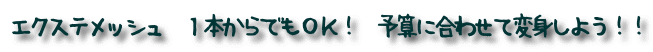 �G�N�X�e���b�V���@�P�{����ł��n�j�I�@�\�Z�ɍ��킹�ĕϐg���悤�I�I

